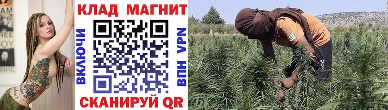 Купить Тюкалинск Каннабис  Меф  АМФ  Гашиш  СОЛЬ 